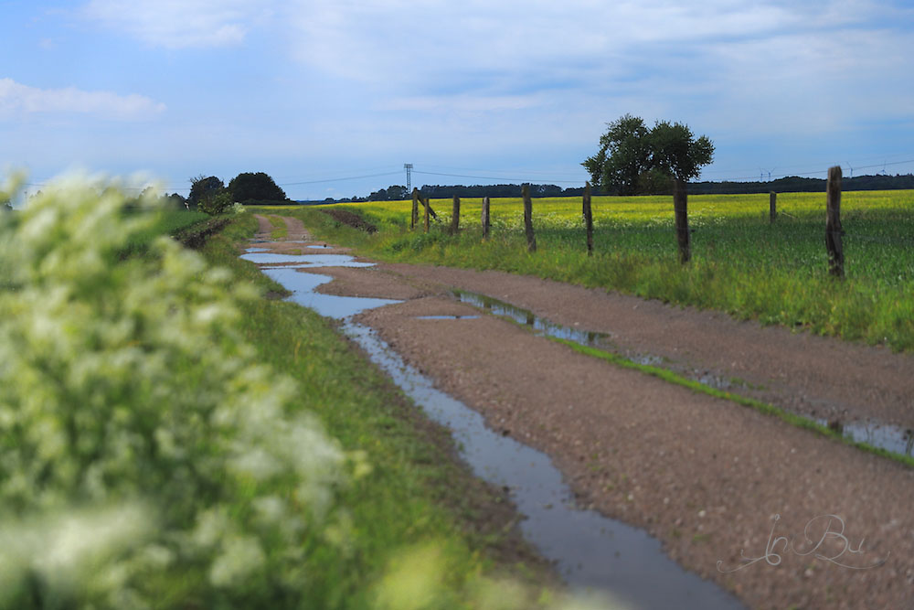 Nach dem Hagel kam wieder Sonne.