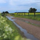 Nach dem Hagel kam wieder Sonne.