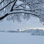 Nach dem heftigen Schneefall...