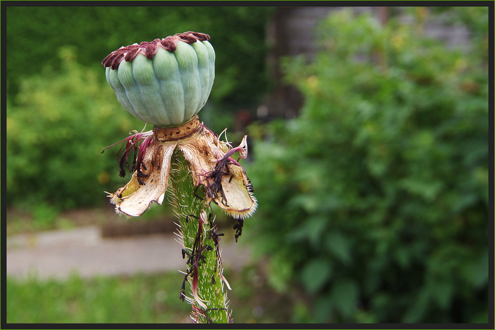 Nach dem heissen Sommerwetter...