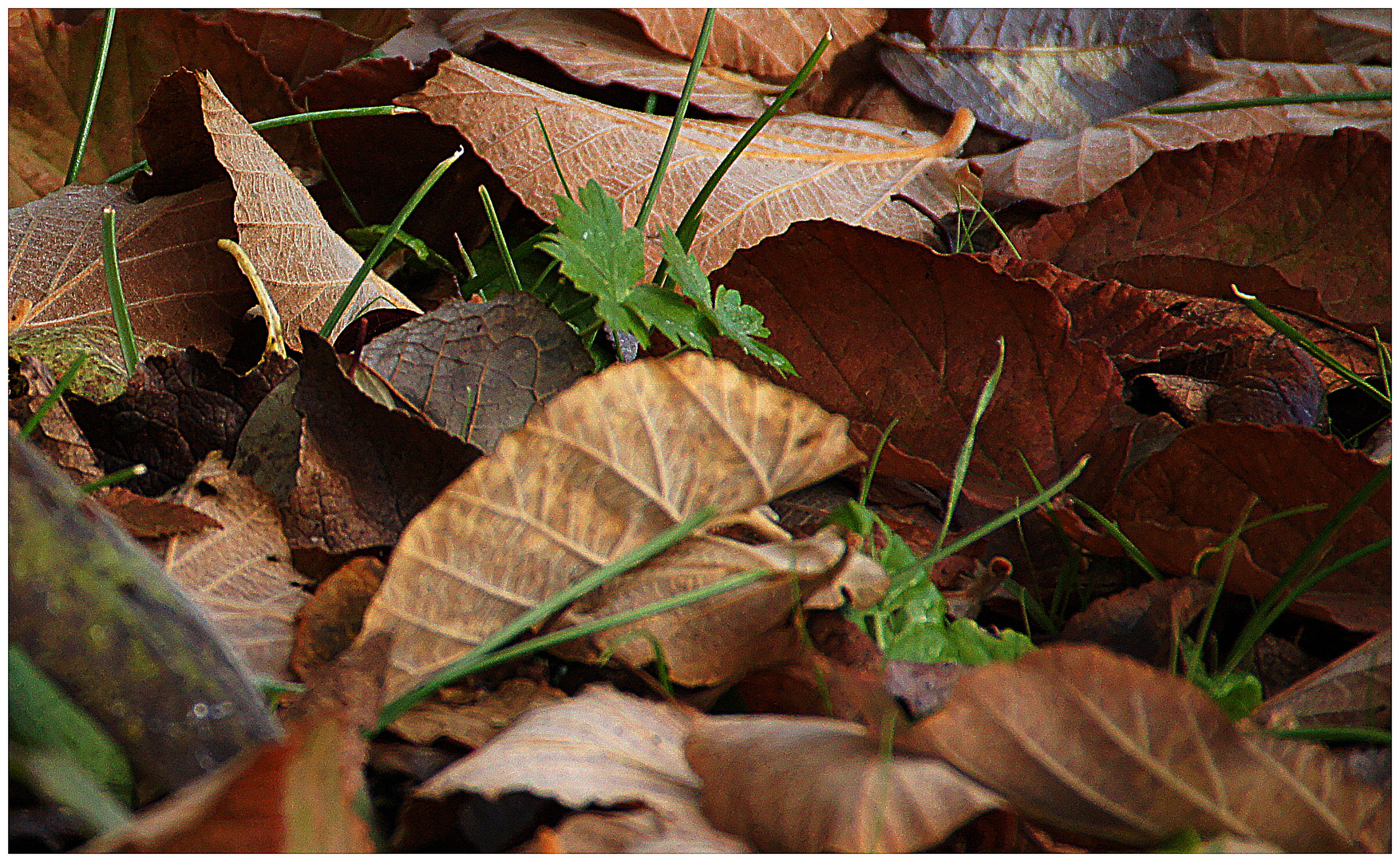 Nach dem Herbst der Frühling