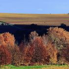 nach dem Herbst ist vor dem Herbst