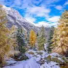 Nach dem Herbst kommt der Winter