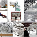 Nach dem heutigen starken Schneefall