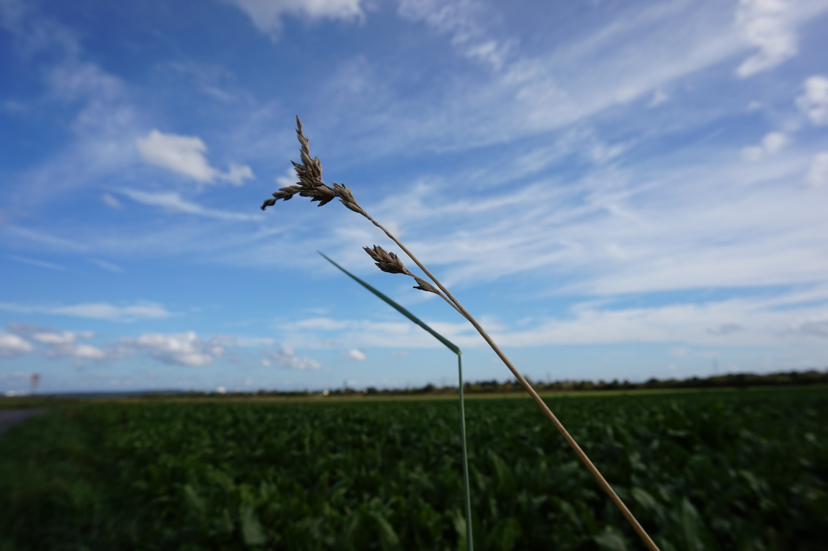 Nach dem Himmel greifen