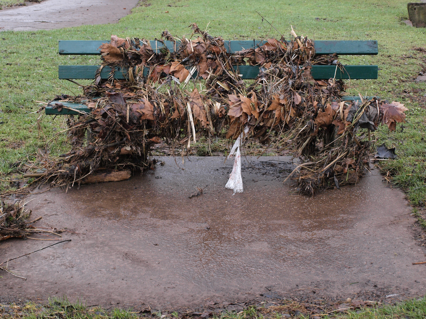 Nach dem Hochwasser 2011: Das Naheufer in Bad Münster (1)