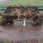 Nach dem Hochwasser 2011: Das Naheufer in Bad Münster (1)