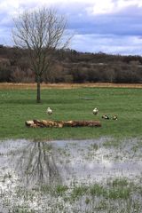 Nach dem Hochwasser