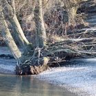 Nach dem Hochwasser