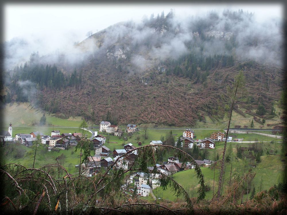 Nach dem Jahrhundertsturm