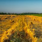 Nach dem kurzen Unwetter 