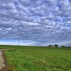 Nach dem Landregen im Spätsommer