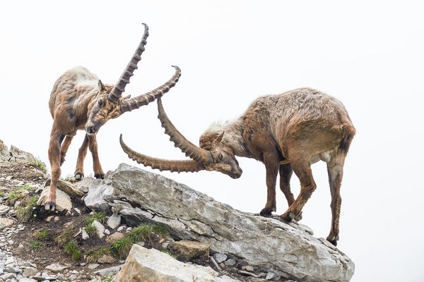 Nach dem langen Winter...