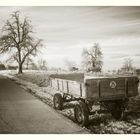 Nach dem langen Winter auf dem Land