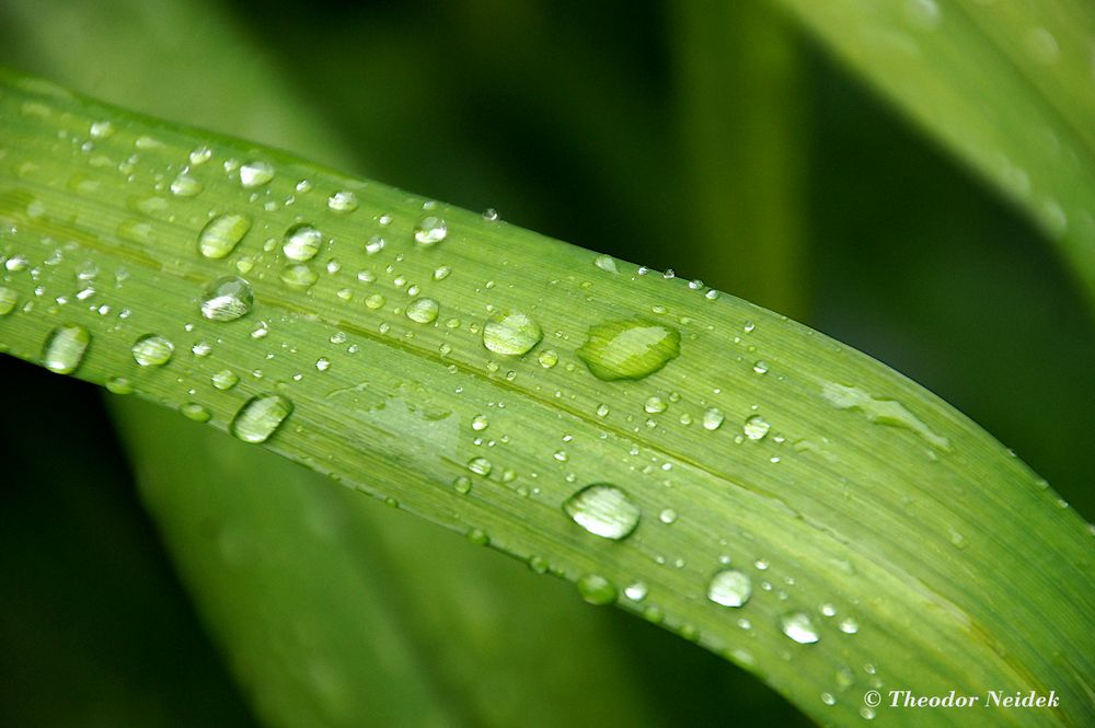 Nach dem letzten Regenschauer