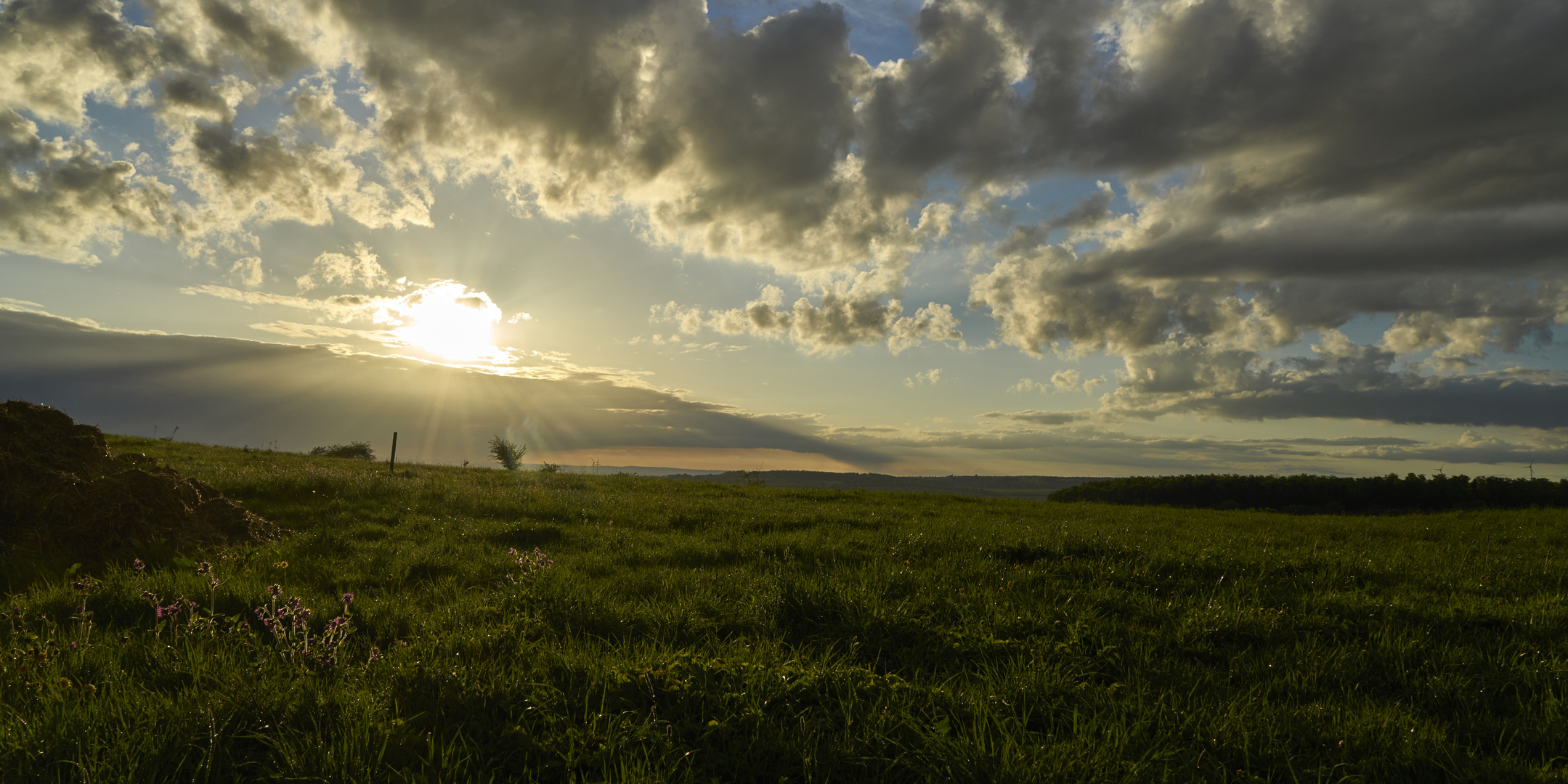 Nach dem Mistwetter ..