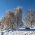 Nach dem Moor ein bisschen Winter