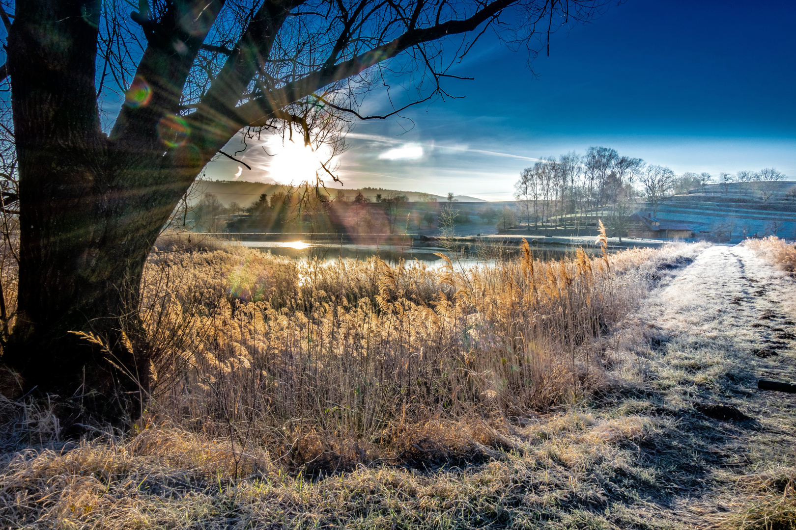 nach dem Nachtfrost - Morgens am Teich 