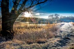 nach dem Nachtfrost - Morgens am Teich 