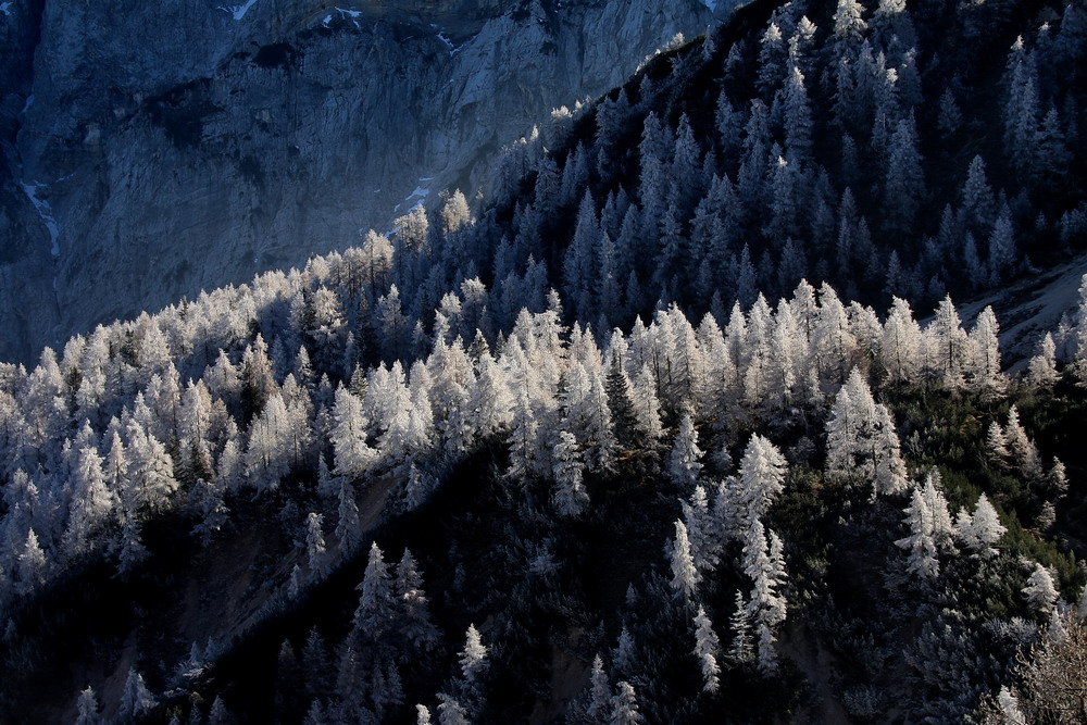 Nach dem Nebel