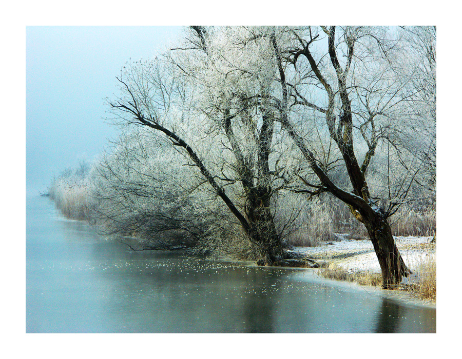 nach dem Nebel