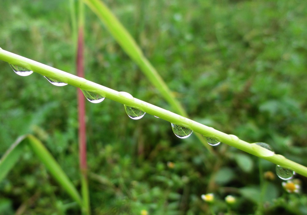 Nach dem Nieselregen 7