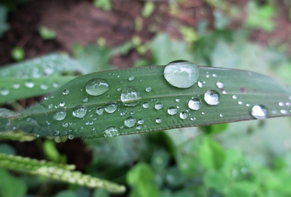 Nach dem Nieselregen 8