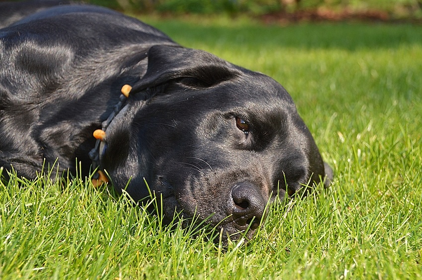 Nach dem Osterspaziergang