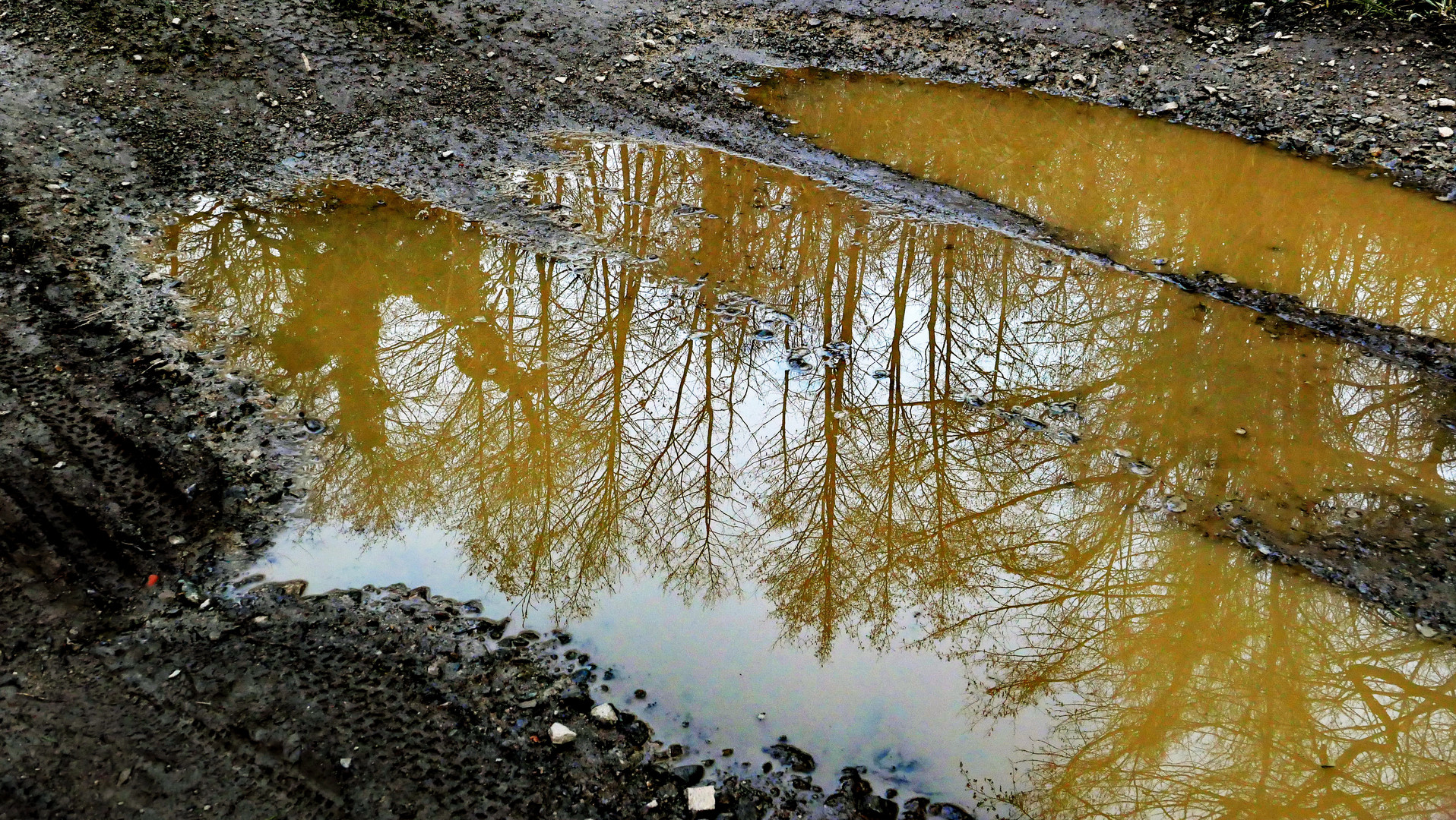 nach dem Regen