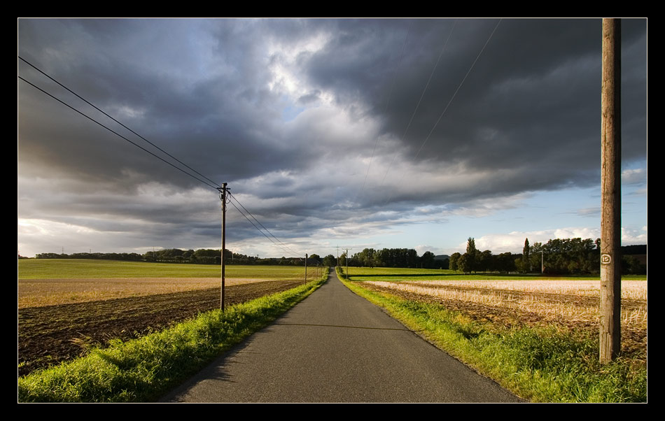 Nach dem Regen...