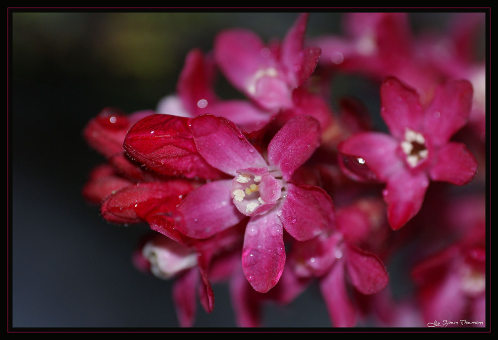 ...nach dem Regen...