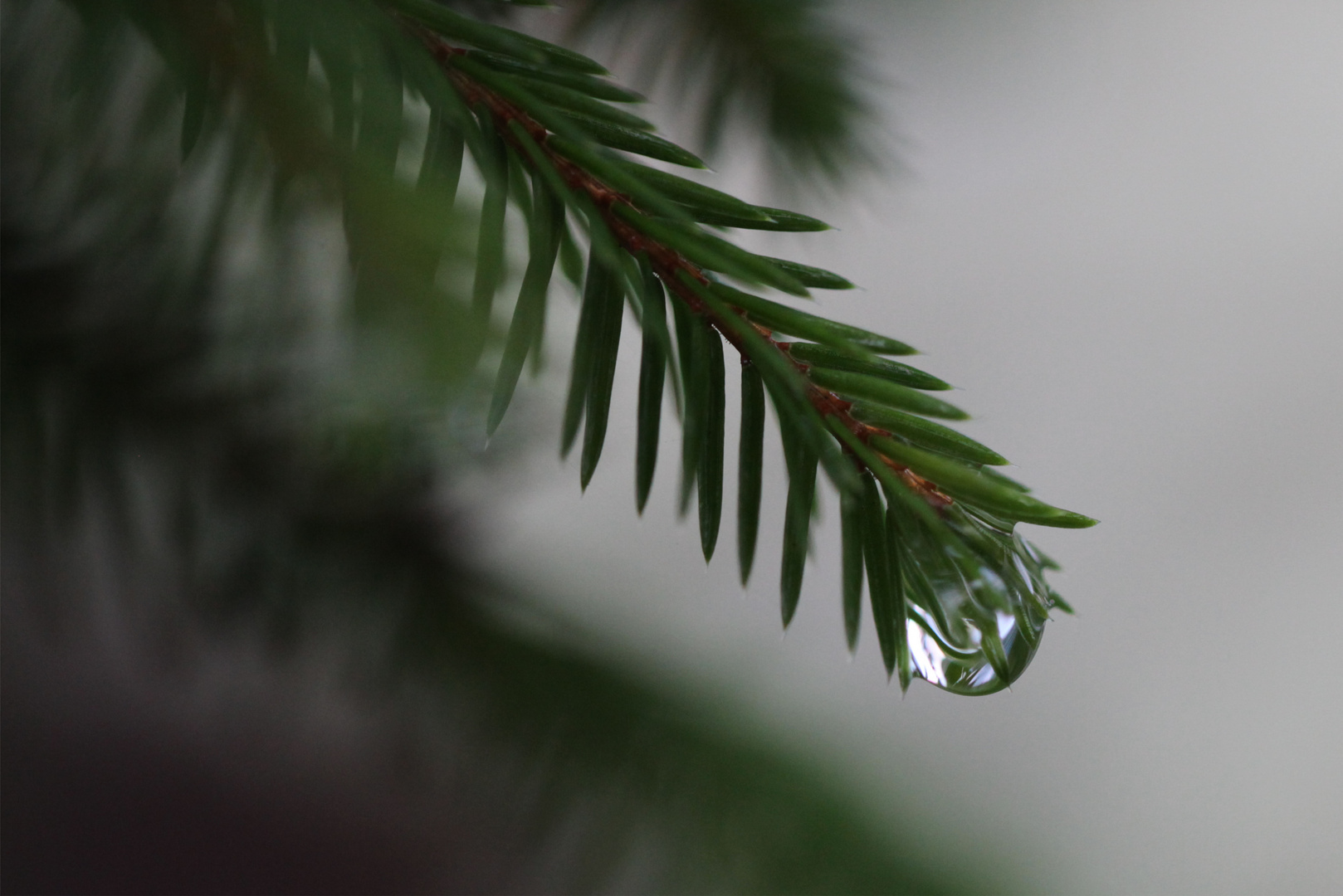 Nach dem Regen