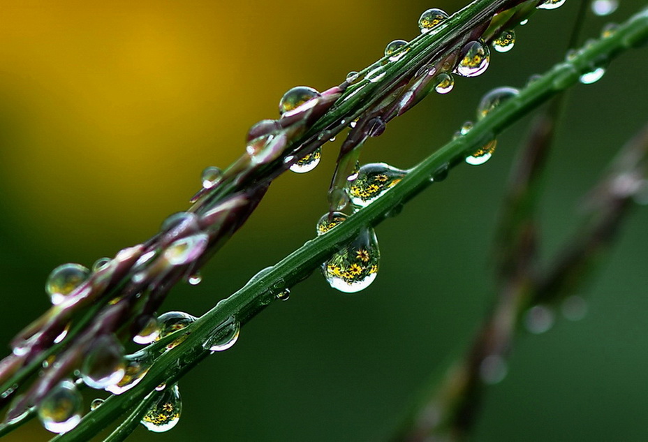 nach dem Regen