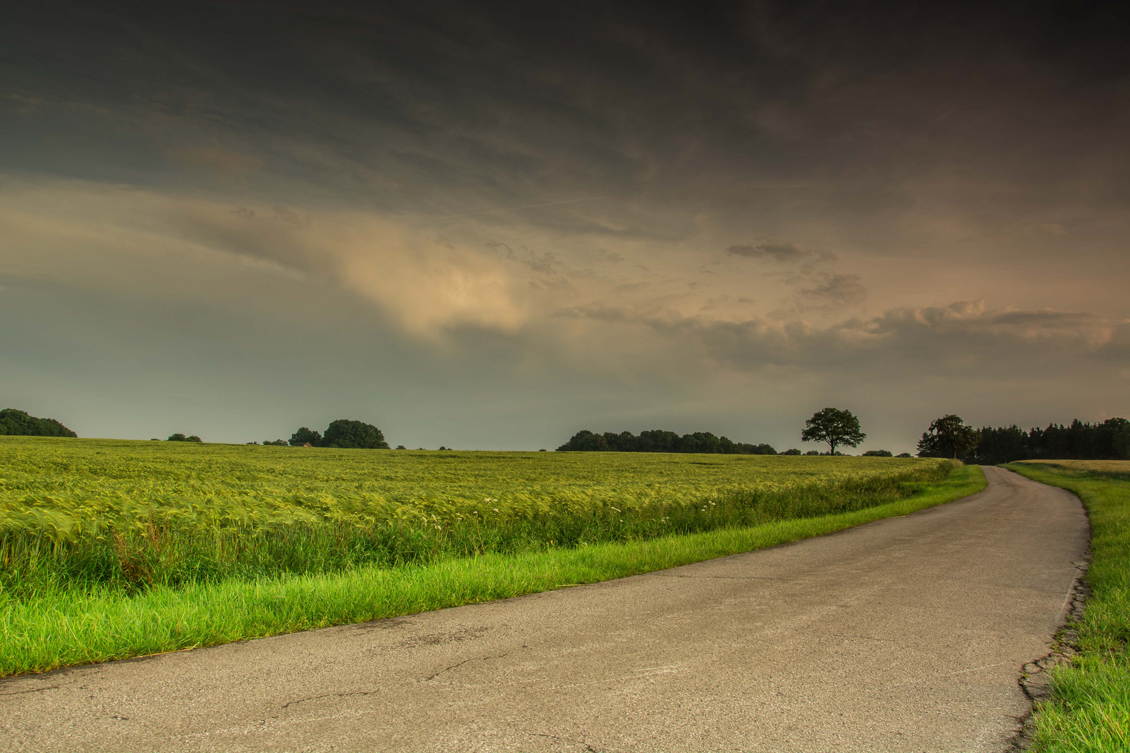 Nach dem Regen