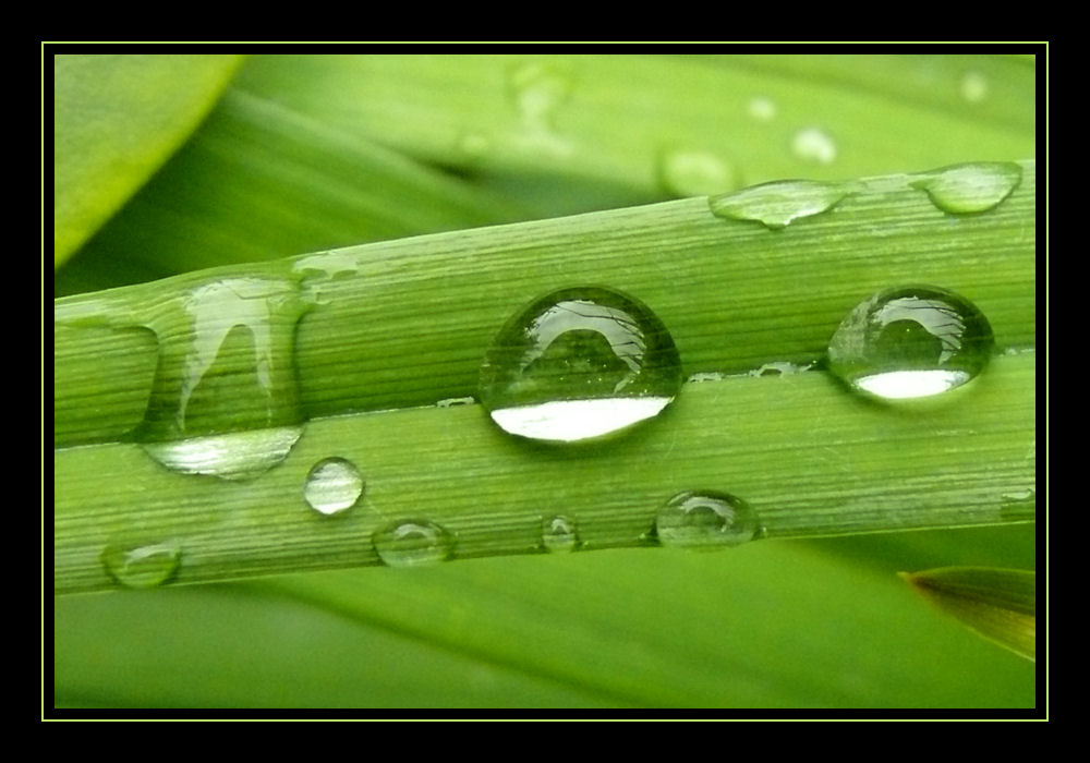 nach dem Regen