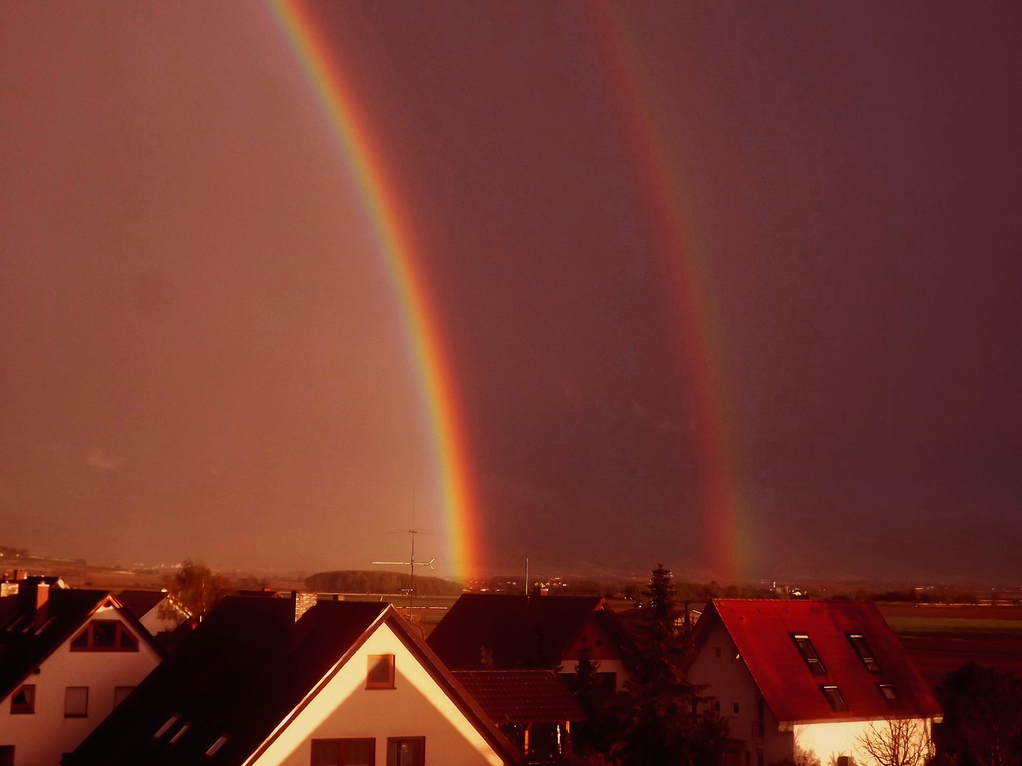 Nach dem Regen 