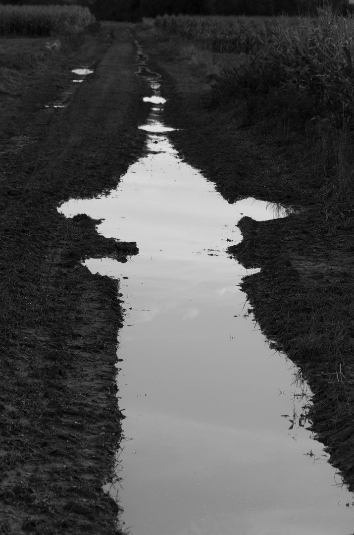 Nach dem Regen