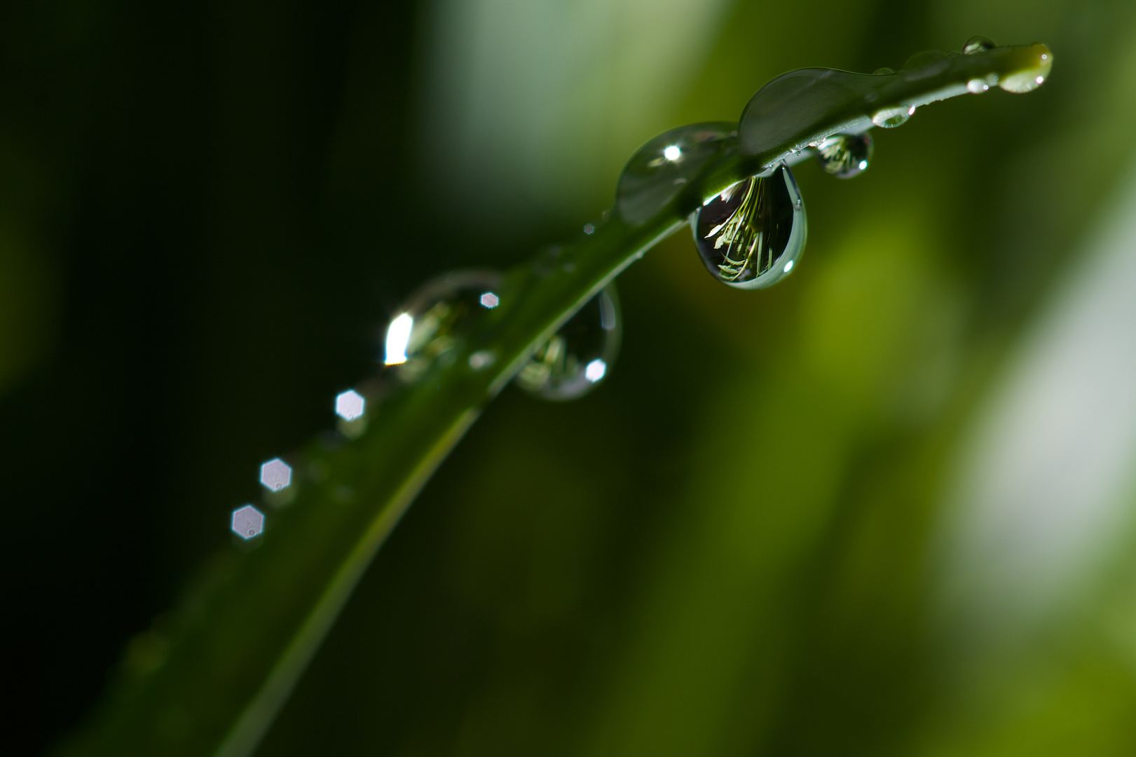 ...nach dem Regen