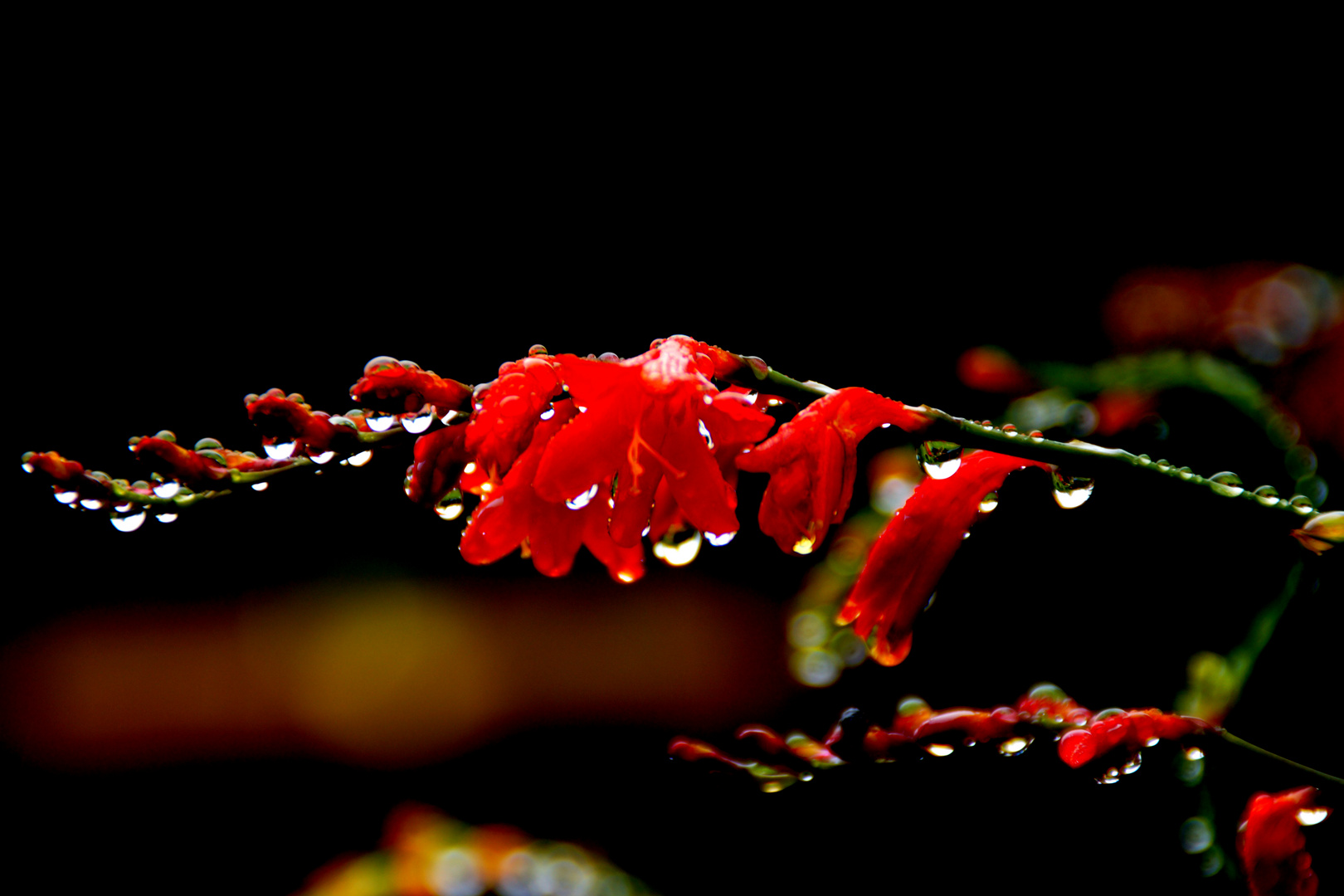 Nach dem Regen