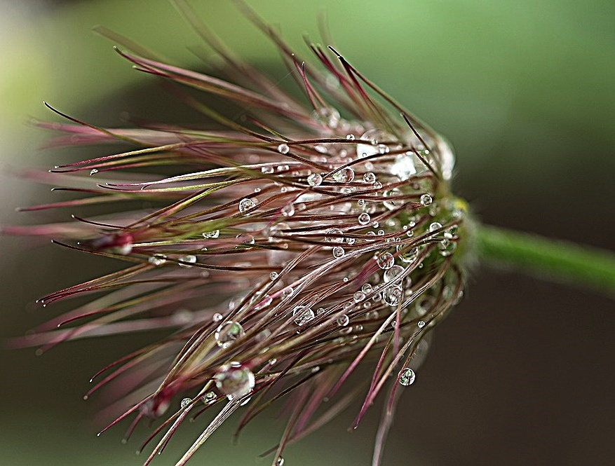 ....nach dem Regen