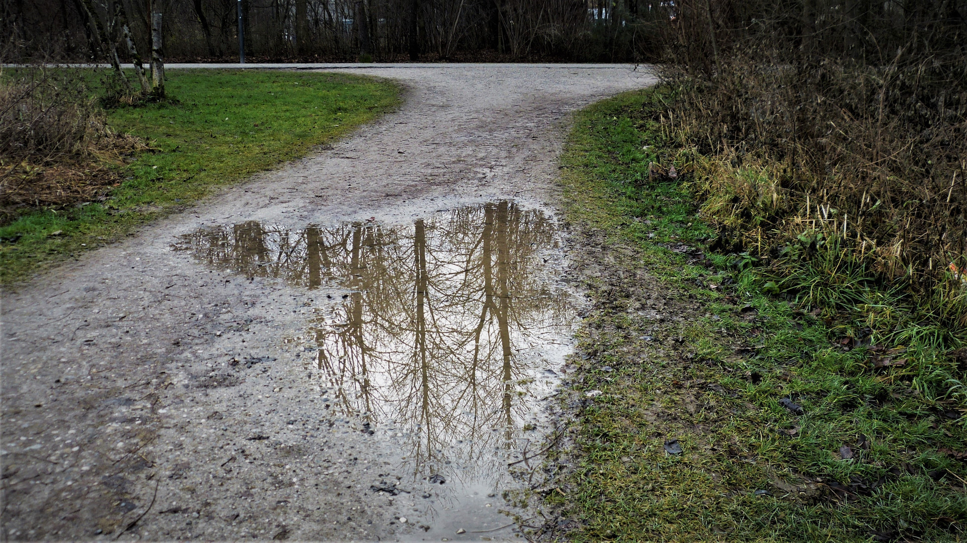 Nach dem Regen...