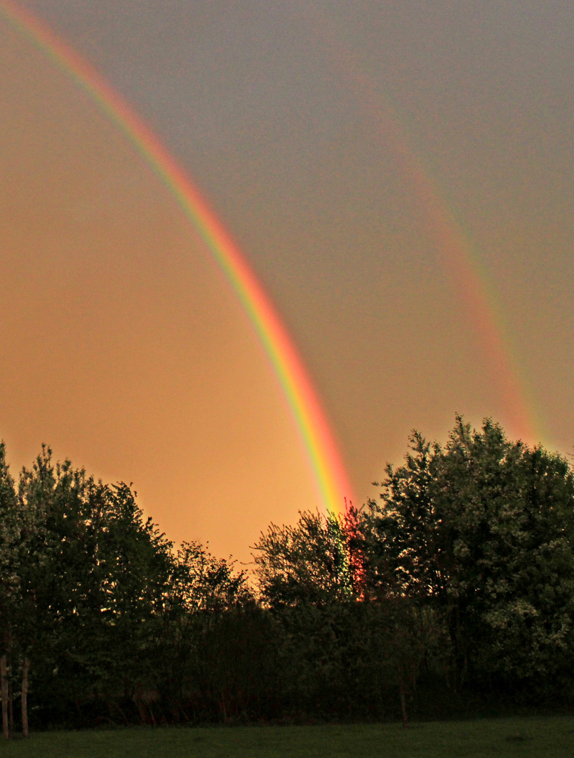 ... nach dem Regen ...