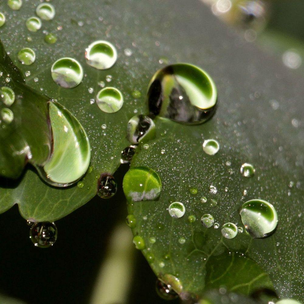 Nach dem Regen