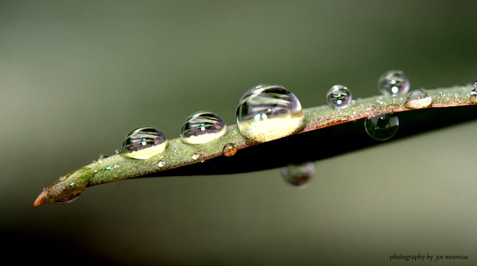 Nach dem Regen