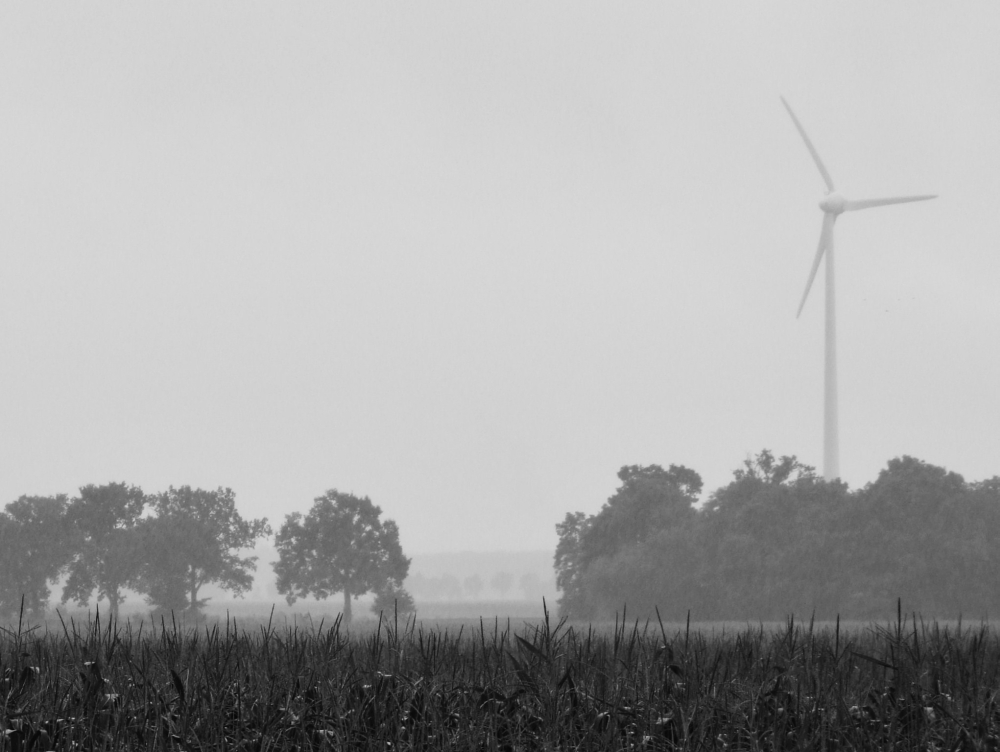 [ Nach dem Regen ]