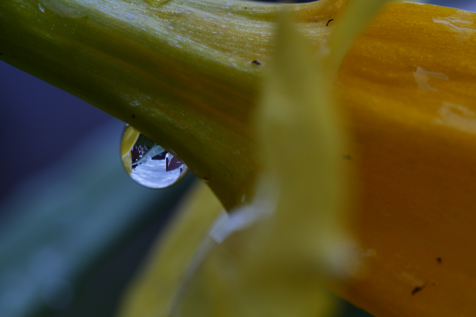 Nach dem Regen