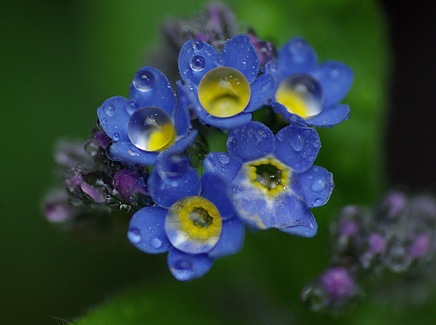 Nach dem Regen