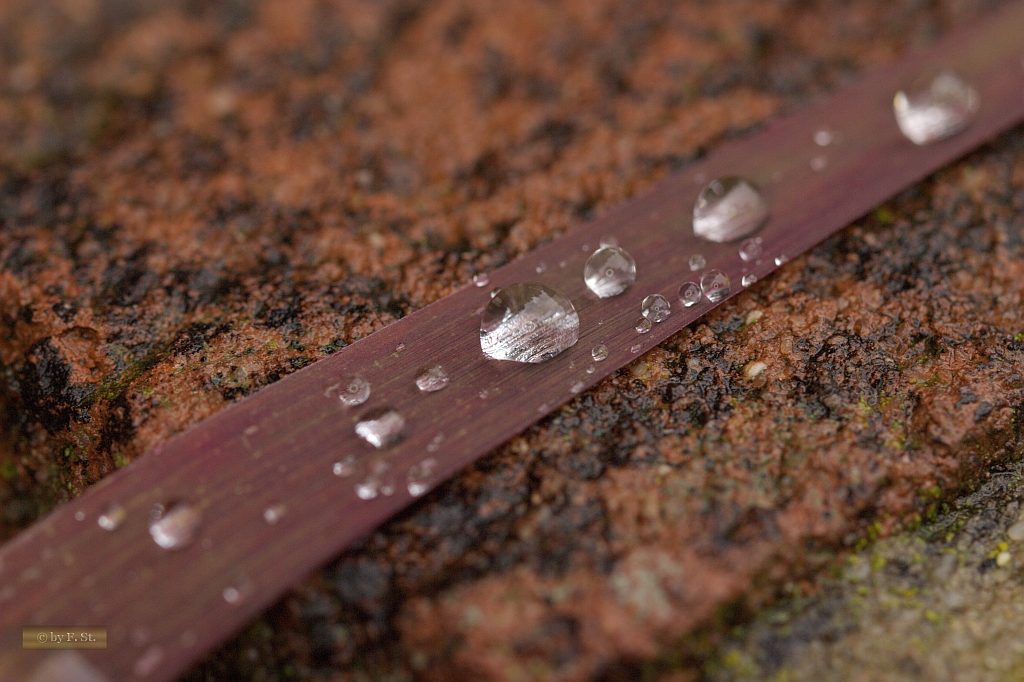 Nach dem Regen