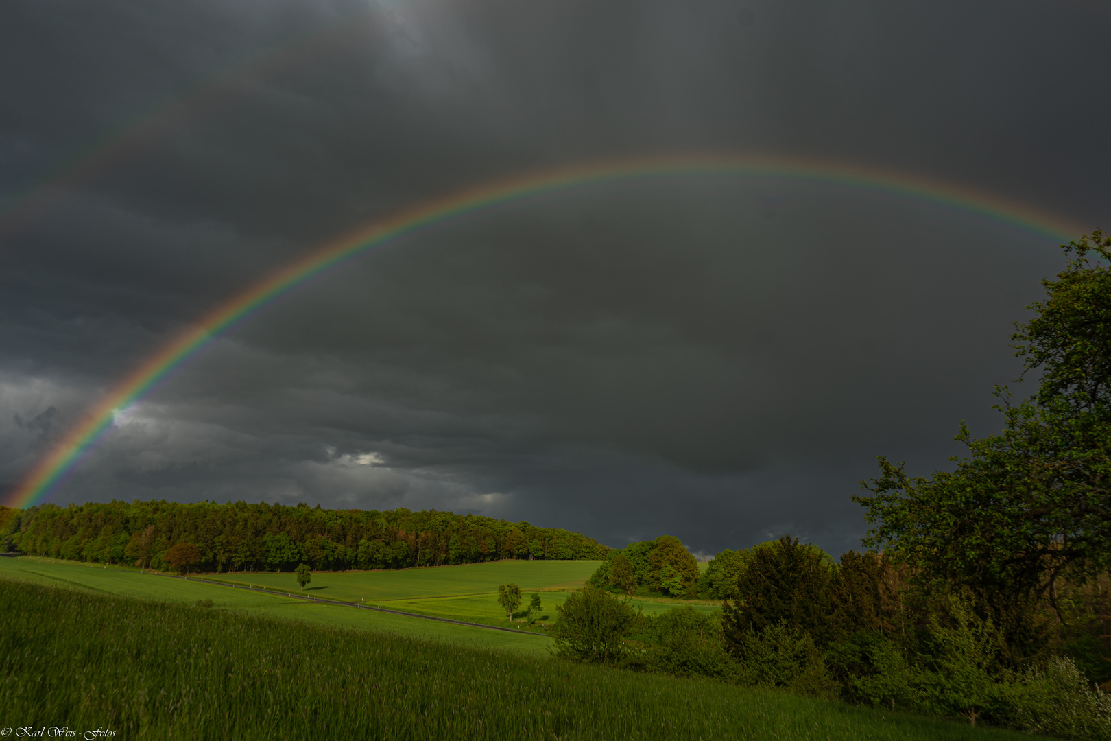 Nach dem Regen ....