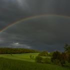 Nach dem Regen ....